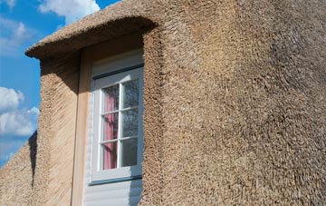 Coldridge thatch roof disadvantages